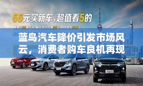 藍(lán)鳥汽車降價(jià)引發(fā)市場(chǎng)風(fēng)云，消費(fèi)者購(gòu)車良機(jī)再現(xiàn)