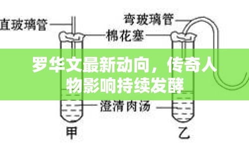 羅華文最新動(dòng)向，傳奇人物影響持續(xù)發(fā)酵