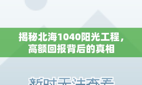 揭秘北海1040陽光工程，高額回報(bào)背后的真相