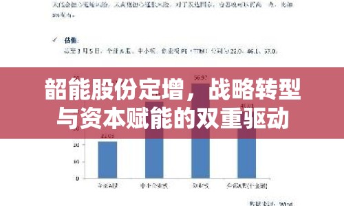 韶能股份定增，戰(zhàn)略轉(zhuǎn)型與資本賦能的雙重驅(qū)動(dòng)