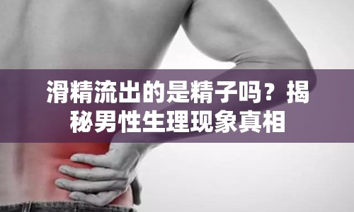 滑精流出的是精子嗎？揭秘男性生理現(xiàn)象真相
