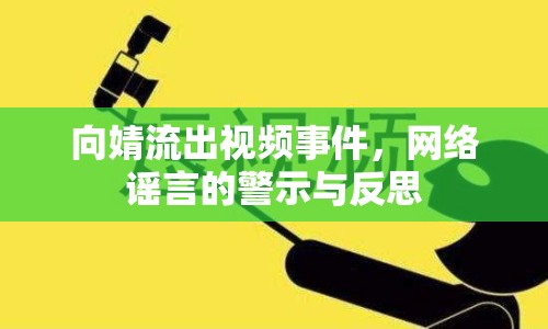 向婧流出視頻事件，網(wǎng)絡(luò)謠言的警示與反思