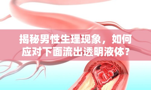 揭秘男性生理現(xiàn)象，如何應(yīng)對(duì)下面流出透明液體？