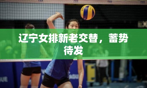 遼寧女排新老交替，蓄勢待發(fā)