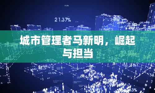 城市管理者馬新明，崛起與擔當