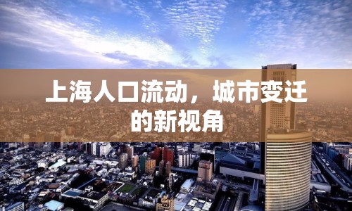 上海人口流動，城市變遷的新視角