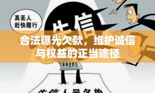 合法曝光欠款，維護(hù)誠信與權(quán)益的正當(dāng)途徑