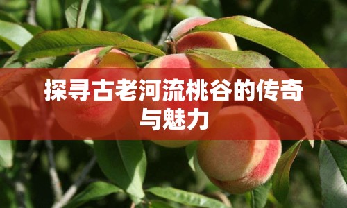 探尋古老河流桃谷的傳奇與魅力