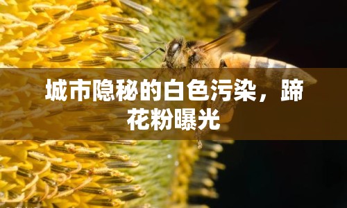 城市隱秘的白色污染，蹄花粉曝光