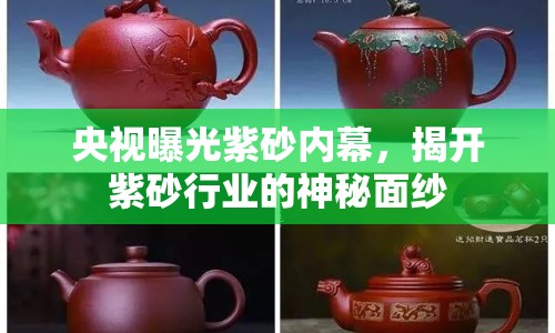 央視曝光紫砂內(nèi)幕，揭開紫砂行業(yè)的神秘面紗