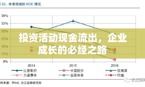 投資活動(dòng)現(xiàn)金流出，企業(yè)成長(zhǎng)的必經(jīng)之路