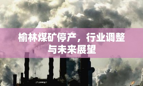 榆林煤礦停產(chǎn)，行業(yè)調(diào)整與未來展望