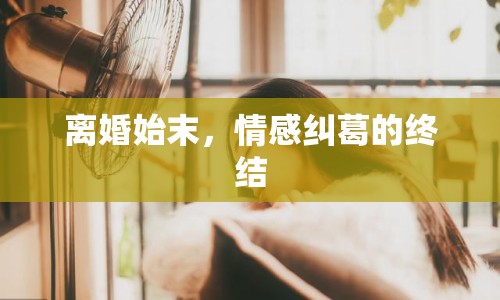 離婚始末，情感糾葛的終結(jié)