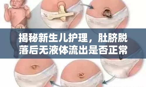 揭秘新生兒護(hù)理，肚臍脫落后無液體流出是否正常？