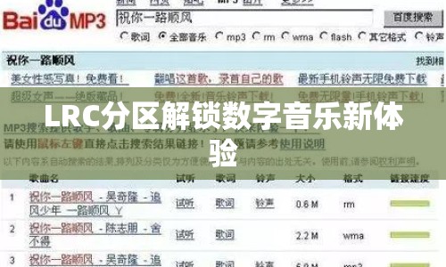 LRC分區(qū)解鎖數(shù)字音樂(lè)新體驗(yàn)