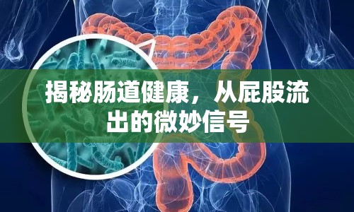 揭秘腸道健康，從屁股流出的微妙信號(hào)