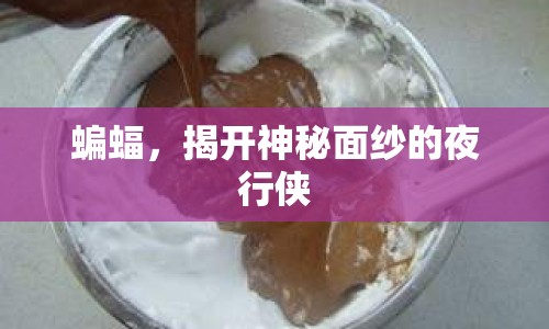 蝙蝠，揭開神秘面紗的夜行俠
