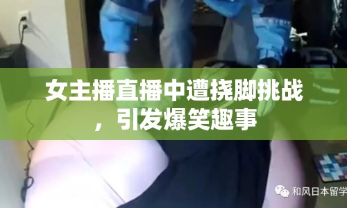 女主播直播中遭撓腳挑戰(zhàn)，引發(fā)爆笑趣事