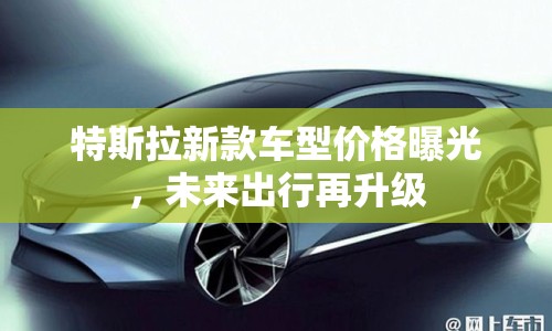 特斯拉新款車型價格曝光，未來出行再升級
