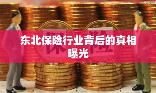 東北保險行業(yè)背后的真相曝光
