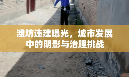 濰坊違建曝光，城市發(fā)展中的陰影與治理挑戰(zhàn)