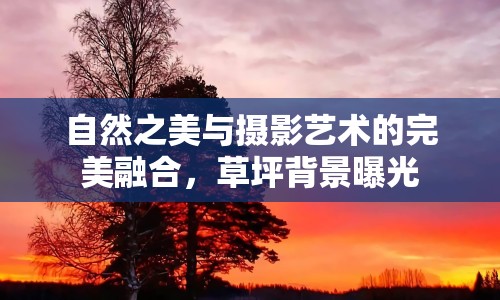 自然之美與攝影藝術(shù)的完美融合，草坪背景曝光