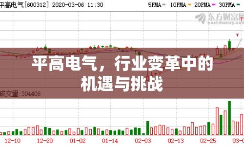 平高電氣，行業(yè)變革中的機遇與挑戰(zhàn)