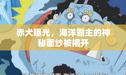赤犬曝光，海洋霸主的神秘面紗被揭開