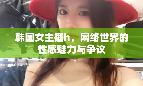 韓國女主播h，網(wǎng)絡(luò)世界的性感魅力與爭議