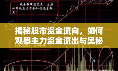 揭秘股市資金流向，如何觀察主力資金流出與奧秘