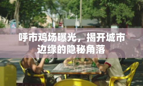 呼市雞場(chǎng)曝光，揭開城市邊緣的隱秘角落