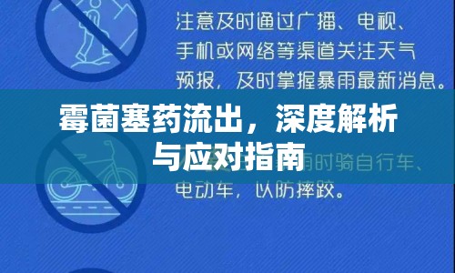 霉菌塞藥流出，深度解析與應(yīng)對(duì)指南