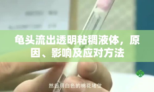 龜頭流出透明粘稠液體，原因、影響及應(yīng)對(duì)方法