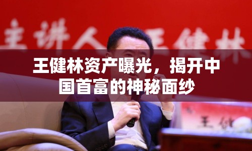 王健林資產(chǎn)曝光，揭開(kāi)中國(guó)首富的神秘面紗