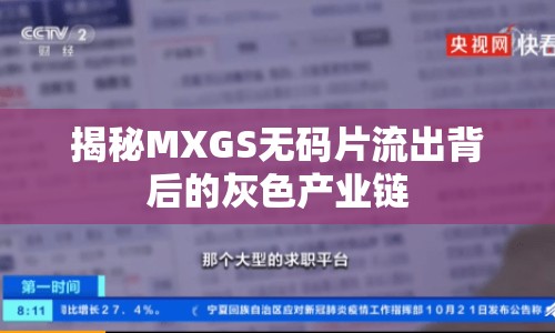 揭秘MXGS無(wú)碼片流出背后的灰色產(chǎn)業(yè)鏈