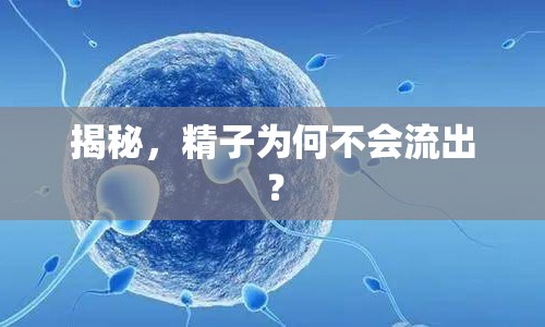 揭秘，精子為何不會流出？