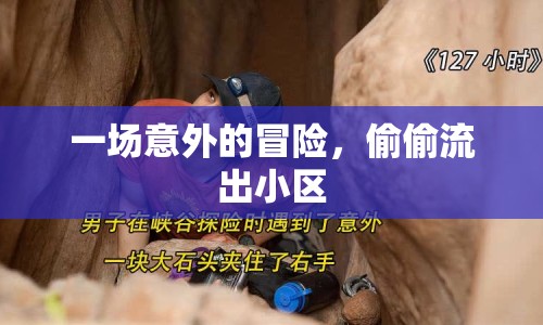一場意外的冒險，偷偷流出小區(qū)