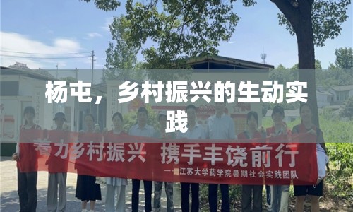 楊屯，鄉(xiāng)村振興的生動實踐
