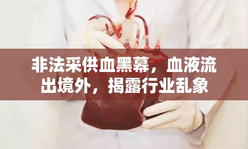 非法采供血黑幕，血液流出境外，揭露行業(yè)亂象