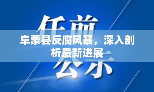 阜蒙縣反腐風(fēng)暴，深入剖析最新進(jìn)展