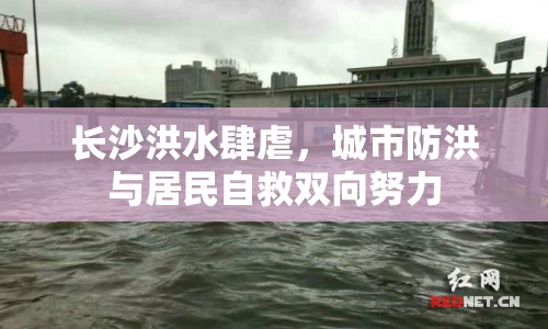 長(zhǎng)沙洪水肆虐，城市防洪與居民自救雙向努力