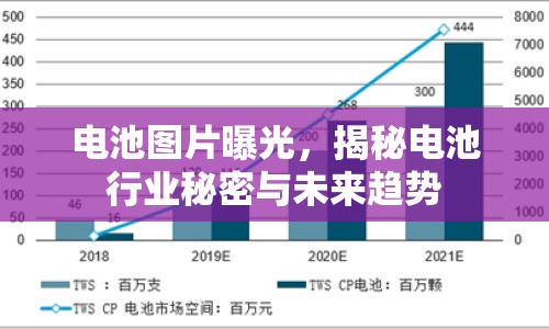 電池圖片曝光，揭秘電池行業(yè)秘密與未來趨勢