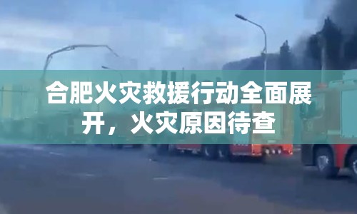 合肥火災(zāi)救援行動全面展開，火災(zāi)原因待查