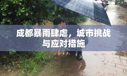 成都暴雨肆虐，城市挑戰(zhàn)與應(yīng)對(duì)措施