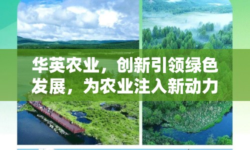 華英農(nóng)業(yè)，創(chuàng)新引領(lǐng)綠色發(fā)展，為農(nóng)業(yè)注入新動(dòng)力