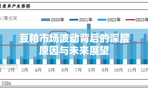 豆粕市場(chǎng)波動(dòng)背后的深層原因與未來(lái)展望