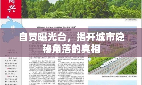 自貢曝光臺，揭開城市隱秘角落的真相
