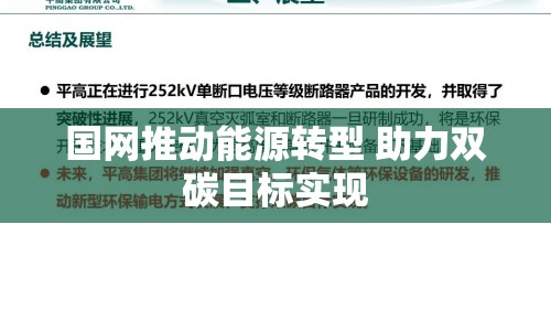 國網(wǎng)推動能源轉(zhuǎn)型 助力雙碳目標實現(xiàn)