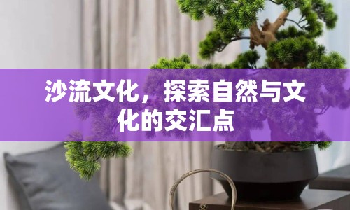 沙流文化，探索自然與文化的交匯點(diǎn)