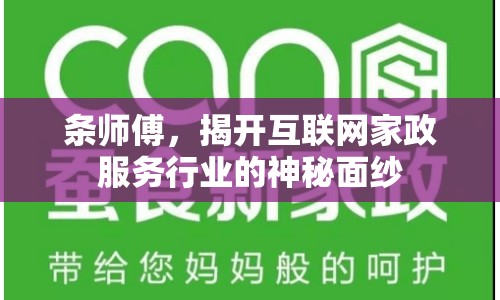 條師傅，揭開互聯(lián)網(wǎng)家政服務行業(yè)的神秘面紗